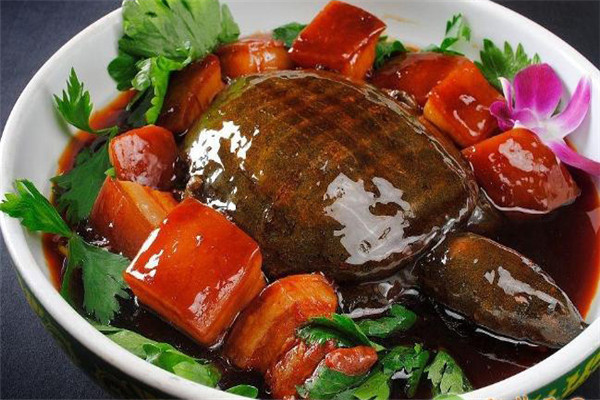 甲魚的營養(yǎng)價值、性味功效