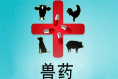 獸藥屬于藥品嗎？獸藥與人用藥的區(qū)別是什么？