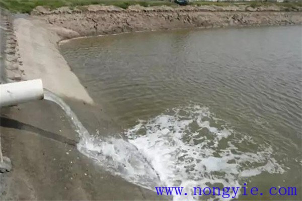 定期沖換水，保讓魚塘水質(zhì)