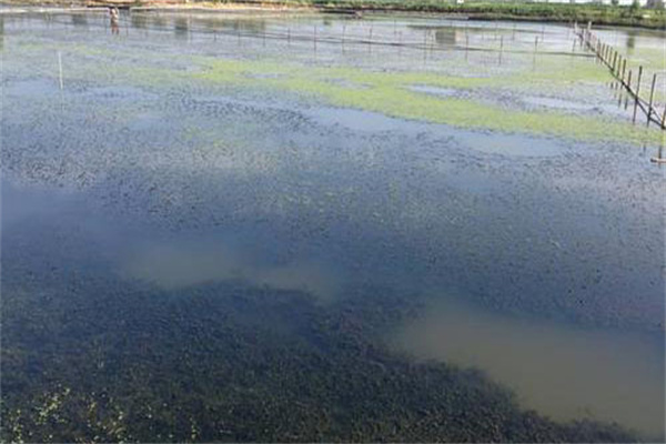 增加溶氧，促進(jìn)有機(jī)物氧化分解