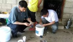 魚(yú)病治療中的發(fā)現(xiàn)、送診、用藥問(wèn)題