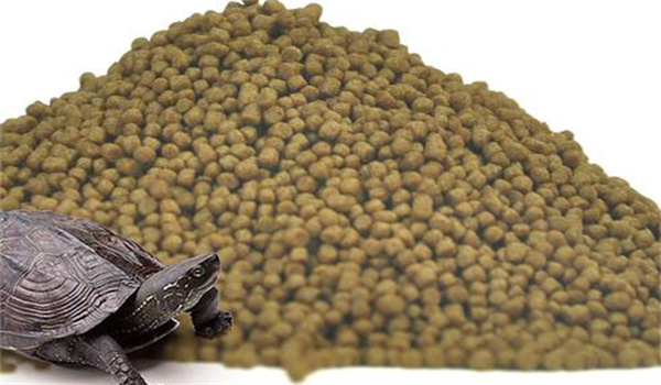 烏龜的飼料要求