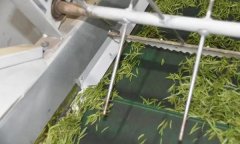 毛尖茶機(jī)械制作的具體步驟和方法是什么？