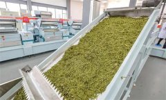 扁形名優(yōu)綠茶機(jī)械加工的具體方法是什么？