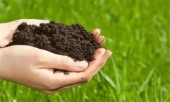 生物有機(jī)肥的功效與作用有哪些？