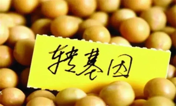 我國標識的農業(yè)轉基因產品有哪些