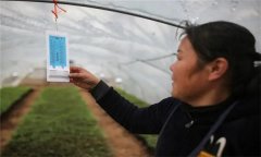 溫度對(duì)農(nóng)作物生長發(fā)育的影響有哪些方面？
