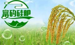 硅肥對(duì)發(fā)展優(yōu)質(zhì)水稻生產(chǎn)有哪些好處？