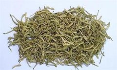 如何科學飲用金銀花茶？需注意哪些事項？