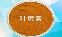什么是葉黃素？哪些蔬菜富含葉黃素？