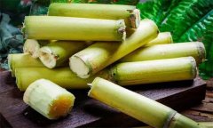 如何選購、儲(chǔ)存甘蔗？食用甘蔗應(yīng)注意事項(xiàng)