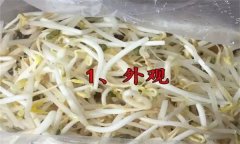 如何挑選豆芽？有根豆芽與無(wú)根豆芽有什么區(qū)別