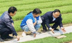 如何處理擱田與治蟲的關(guān)系，怎樣保護(hù)稻田蜘蛛