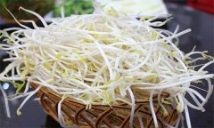 食用市場(chǎng)上出售的豆芽菜是否安全？