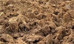 土壤肥力失衡、土壤質(zhì)量下降、土壤酸化怎么辦