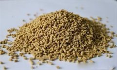 雞飼料中可以添加膽堿嗎？